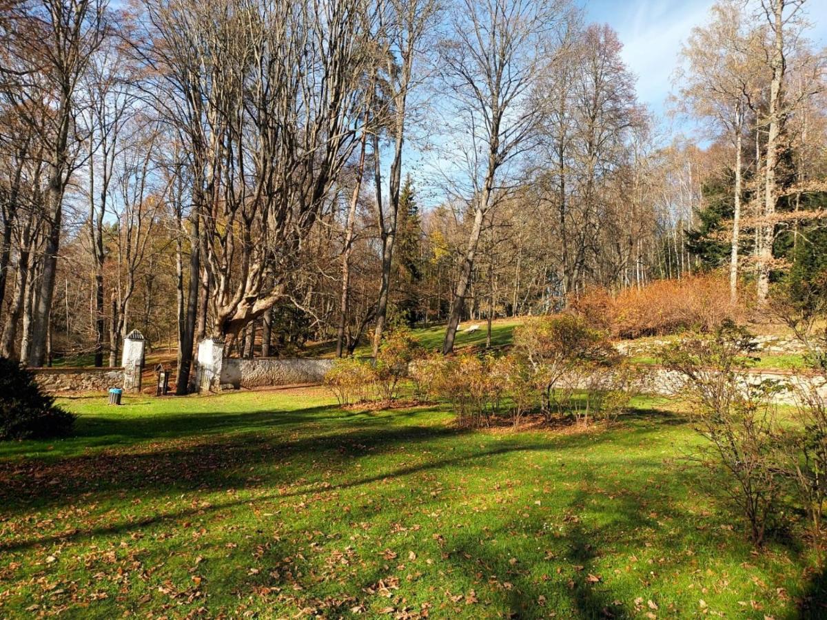 Apartman Petra Horní Planá Bagian luar foto